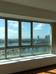 The Riverine By The Park (D12), Apartment #487484111